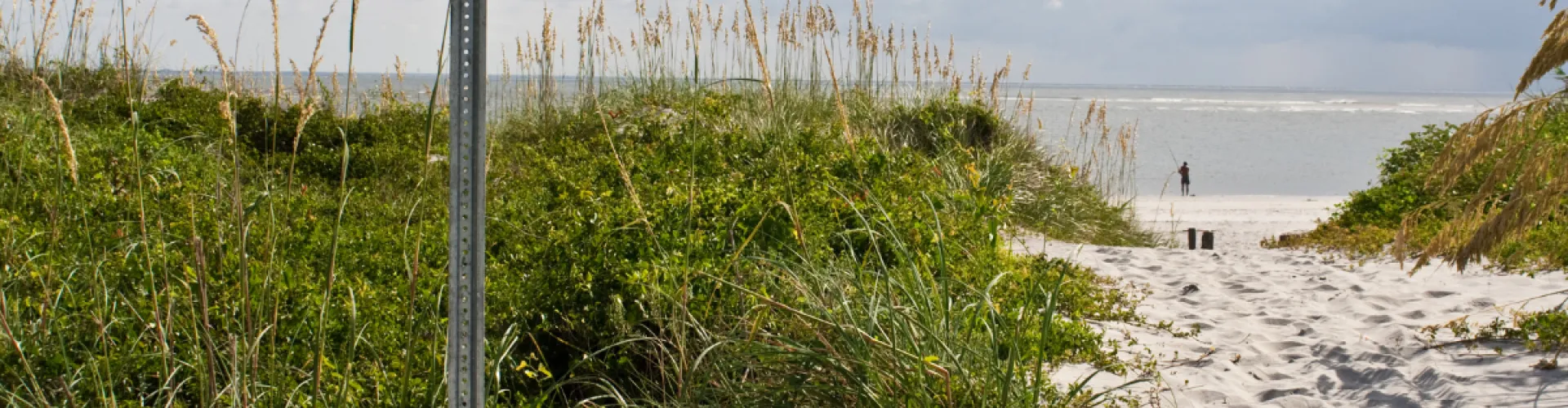 beach access path 