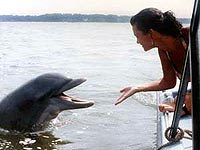 Squeaky is a dolphin we employ to entertain tourists