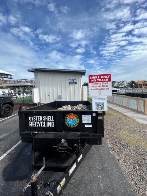 Oyster Recycling at Islander 71