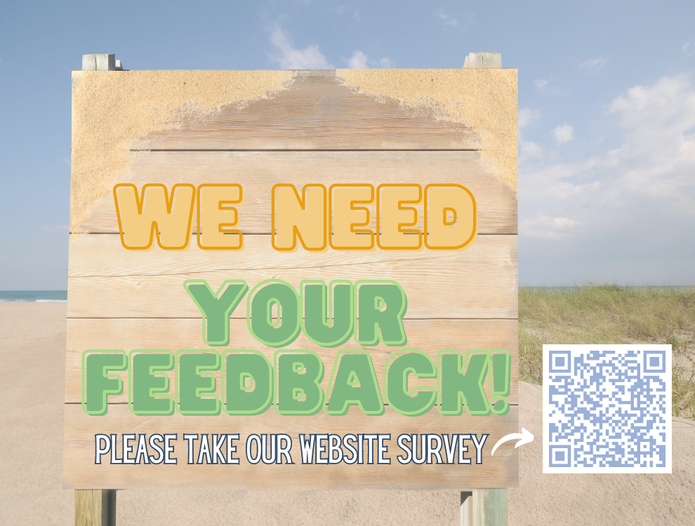 Website Survey 2024